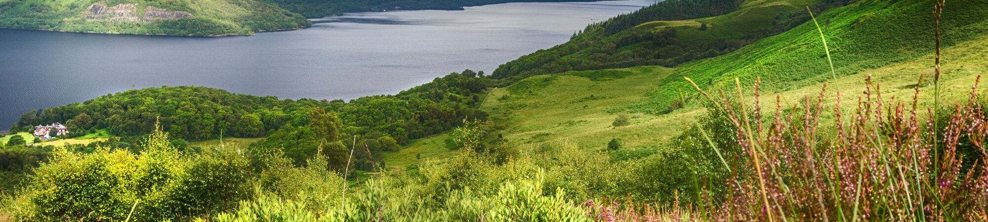 Loch Lomond - © Douglas